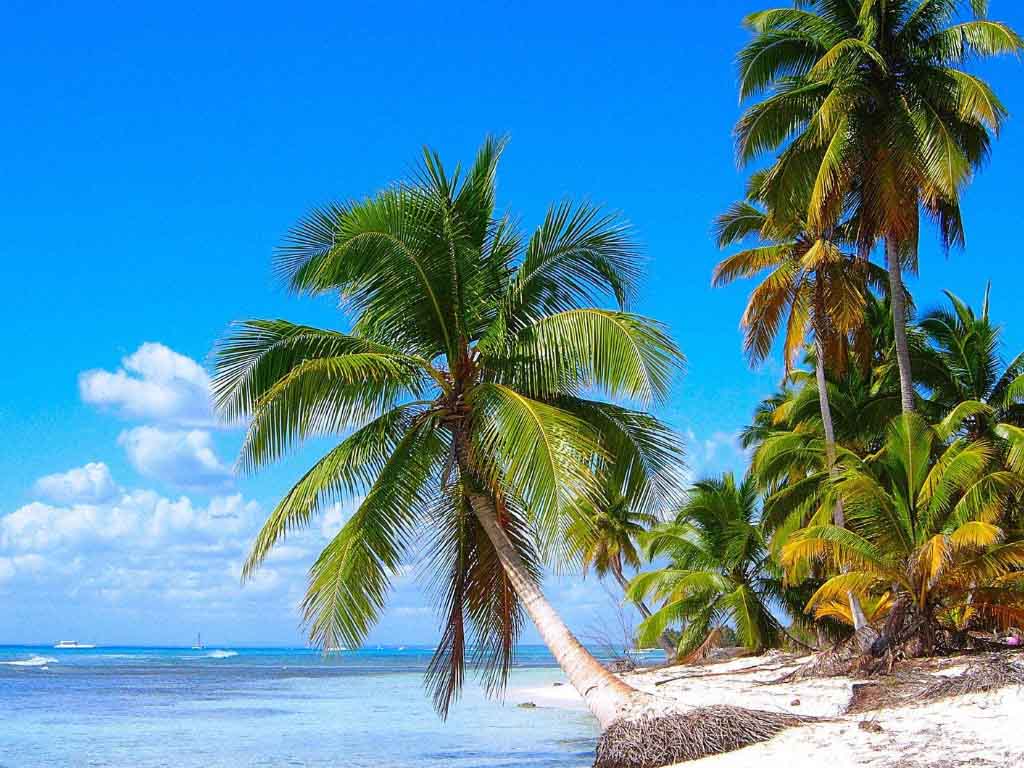 
República Dominicana
